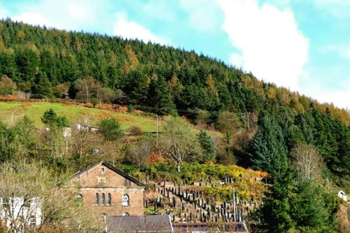 Selah Cottage, 21 Queen Street Pontrhydyfen Kamer foto